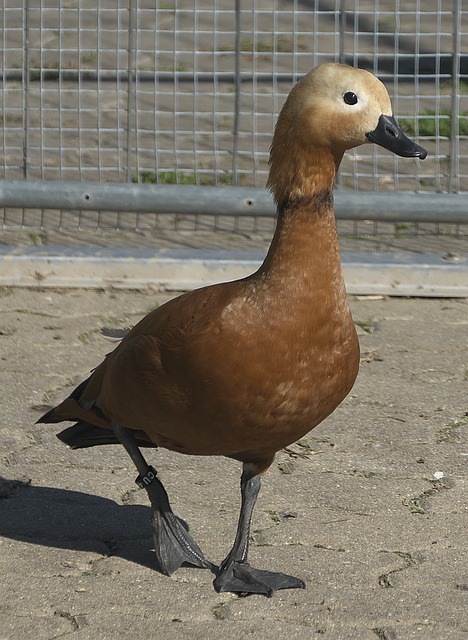 紀錄